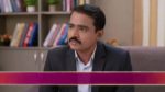 36 Guni Jodi 25th August 2023 Episode 189 Watch Online