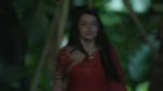 Maitree 9th August 2023 Episode 186 Watch Online