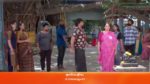 Meenakshi Ponnunga 31st August 2023 Episode 343 Watch Online