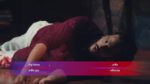 Naagin Season 6 (Bengali) 1st August 2023 Mahek kills Prarthana and her family Episode 282
