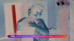 Naagin Season 6 (Bengali) 16th August 2023 Pragati is back for revenge Episode 297