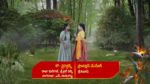 Renuka Yellamma (Star Maa) 2nd August 2023 Devamma Feels Remorseful Episode 115