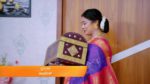 Sathya (Kannada) 25th August 2023 Episode 714 Watch Online
