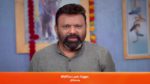 Seetha Ramam 15th August 2023 Episode 144 Watch Online