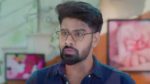 Trinayani (Telugu) 8th August 2023 Episode 1000 Watch Online