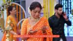 Kumkum Bhagya 25th September 2023 Episode 2546 Watch Online