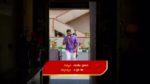 Madhuranagarilo (Star Maa) 15th September 2023 Dhanunjay Supports Radha Episode 159
