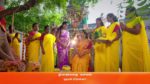Meenakshi Ponnunga 16th September 2023 Episode 357 Watch Online