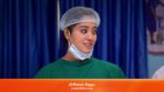 Seetha Ramam 15th September 2023 Episode 167 Watch Online
