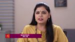 36 Guni Jodi 25th October 2023 Episode 242 Watch Online