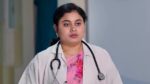 Krishna Mukunda Murari 23rd October 2023 Krishna Searches For Murari Episode 295