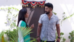 Pinkicha Vijay Aso 18th October 2023 Will Yuvraj Confront Pinky? Episode 544