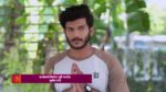 36 Guni Jodi 11th November 2023 Episode 257 Watch Online