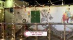 Ghore Ghore 25th November 2023 Episode 282 Watch Online