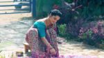 Punarvivaha 16th November 2023 Episode 787 Watch Online