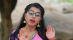 Seethe Ramudi Katnam 25th November 2023 Episode 48 Watch Online