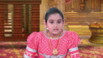 Renuka Yellamma (Star Maa) 29th November 2023 Renuka’s Emotional Collapse Episode 217