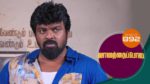 Vanathai Pola 9th November 2023 Episode 892 Watch Online
