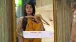 Maajhi Maanasa 21st November 2023 Episode 487 Watch Online