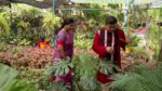Ghore Ghore 9th December 2023 Episode 294 Watch Online