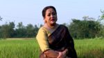 Ghore Ghore 11th December 2023 Episode 295 Watch Online