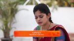 Kanaa 16th December 2023 Episode 397 Watch Online