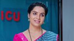 Punarvivaha 3rd December 2023 Episode 803 Watch Online