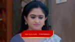 Yeda Loyallo Indradhanasu 18th December 2023 Pardhu, Amulya Tie the Knot Episode 204