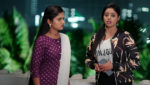 Paape Maa Jeevana Jyothi 2nd December 2023 Jeevana’s Wicked Move Episode 807