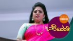 Sevanthi 27th December 2023 Episode 1383 Watch Online