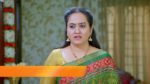 Gattimela 1st January 2024 Episode 1241 Watch Online