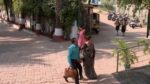 Nivedita Majhi tai 16th January 2024 Pedhyasaathi Kadulimbh Episode 2