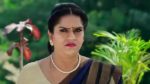 Paape Maa Jeevana Jyothi 5th January 2024 Padma Consoles Simhadri Episode 836