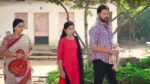 Paape Maa Jeevana Jyothi 9th January 2024 Rahul Feels Remorseful Episode 839