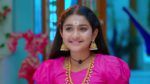 Trinayani (Kannada) 23rd January 2024 Episode 926 Watch Online