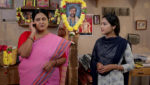 Gunde Ninda Gudi Gantalu 5th January 2024 Parvathi’s Suggestion to Meena Episode 70