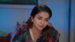 Anna (Tamil) 22nd February 2024 Episode 257 Watch Online