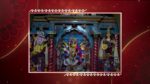Ghore Ghore 5th February 2024 Episode 343 Watch Online