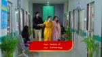 Malli Nindu Jabili 23rd February 2024 Meera Is Concerned Episode 580