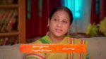 Meenakshi Ponnunga 14th February 2024 Episode 498 Watch Online