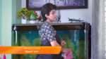 Sathya (Kannada) 8th February 2024 Episode 830 Watch Online