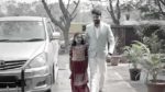 Vantalakka 26th February 2024 Chaaya Is Joyful Episode 536
