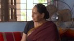 100 Days (And Tv) 10th March 2024 Episode 17 Watch Online