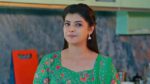 Paluke Bangaramayana 12th March 2024 Abhishek on Cloud Nine Episode 174