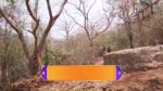 Pinkicha Vijay Aso 26th March 2024 Yuvraj Rescues Pinky Episode 683