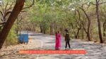 Kumkum Bhagya 14th March 2024 Episode 2695 Watch Online