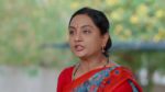 Annapoorna 6th April 2024 Episode 496 Watch Online