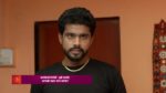 Appi Aamchi Collector 6th April 2024 Episode 532 Watch Online