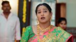 Maa Annaya (Zee Telugu) 18th April 2024 Episode 22 Watch Online