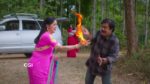 Maari 9th April 2024 Episode 501 Watch Online
